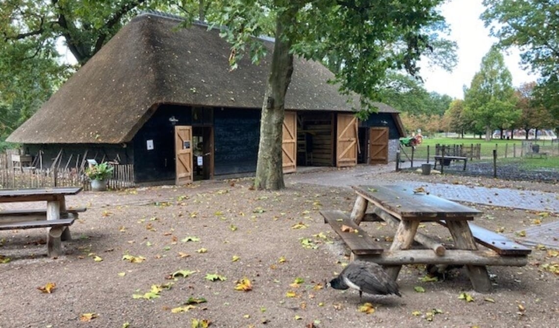 <p>Het terrein van de kinderboerderij.</p>