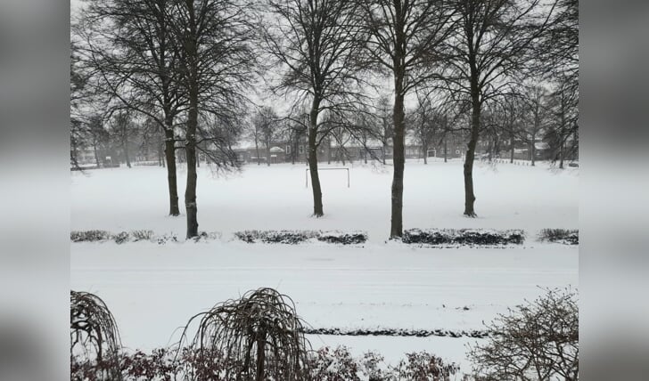 Het veld voor basisschool Eerschot.