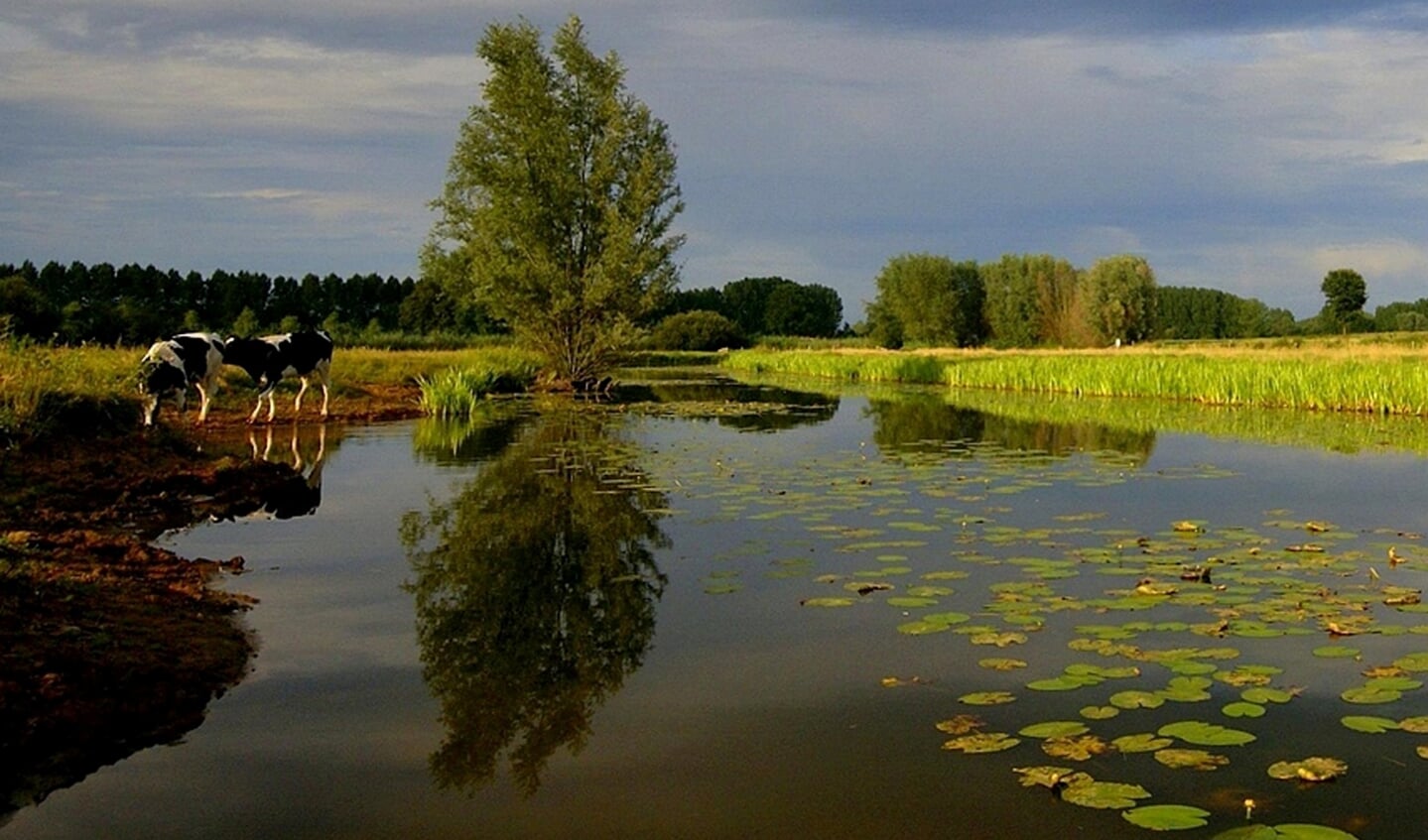 De drijvende kracht van de Dommel