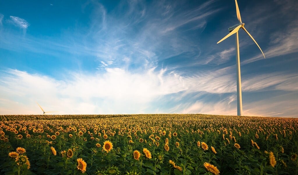 Een windmolen tussen de zonnebloemen