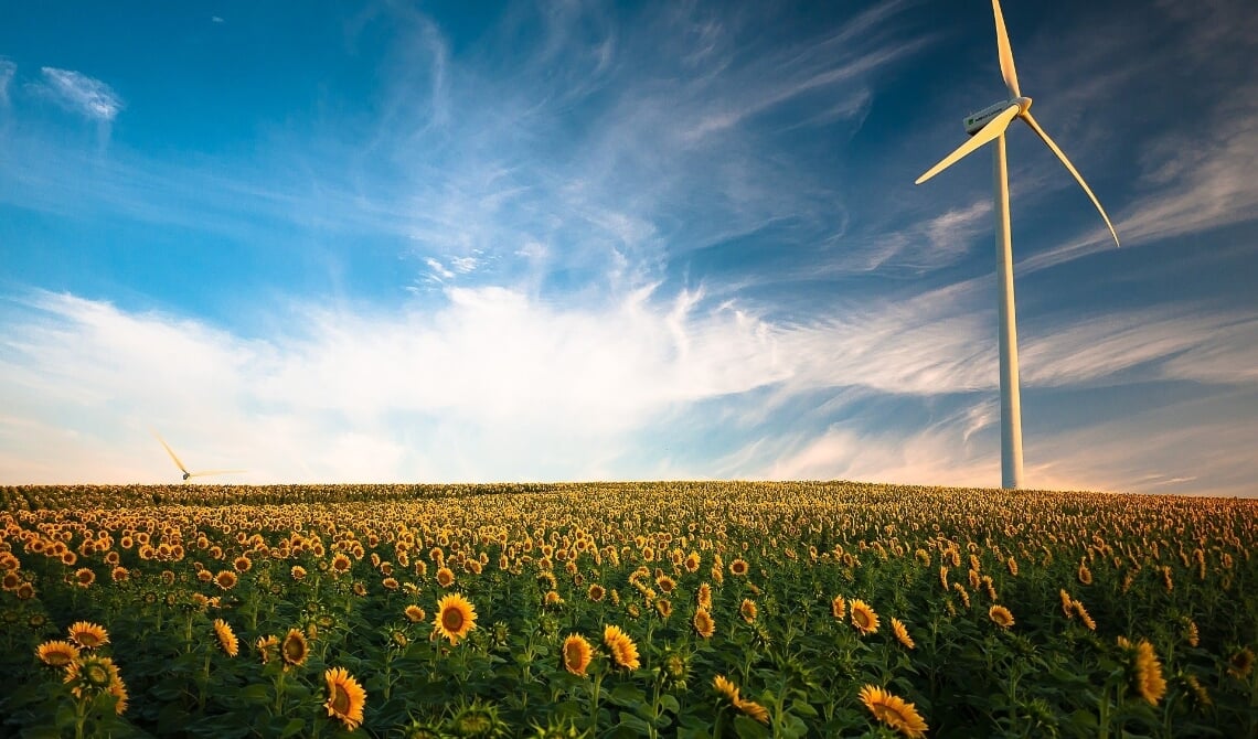 <p>Een windmolen tussen de zonnebloemen</p>