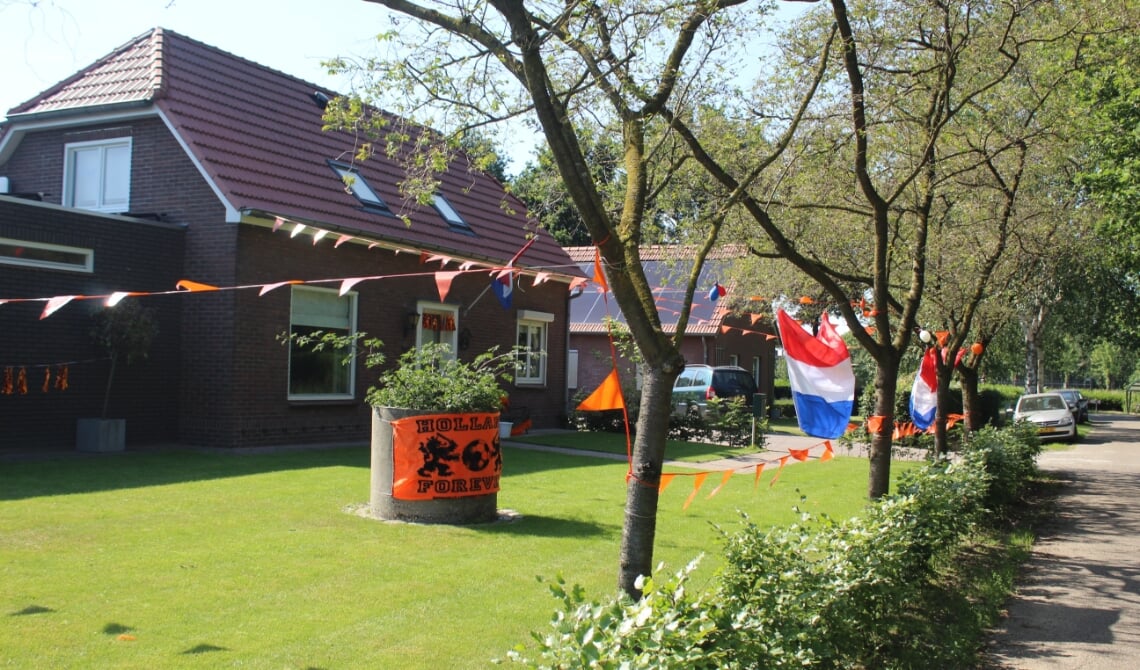 Deze tuin is mooi versierd.