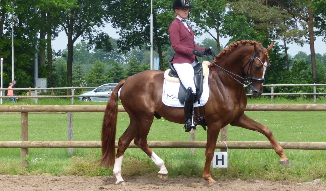 <p>Michelle Westerdijk en Kashmir.</p>