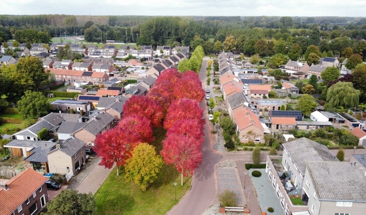 Afbeelding