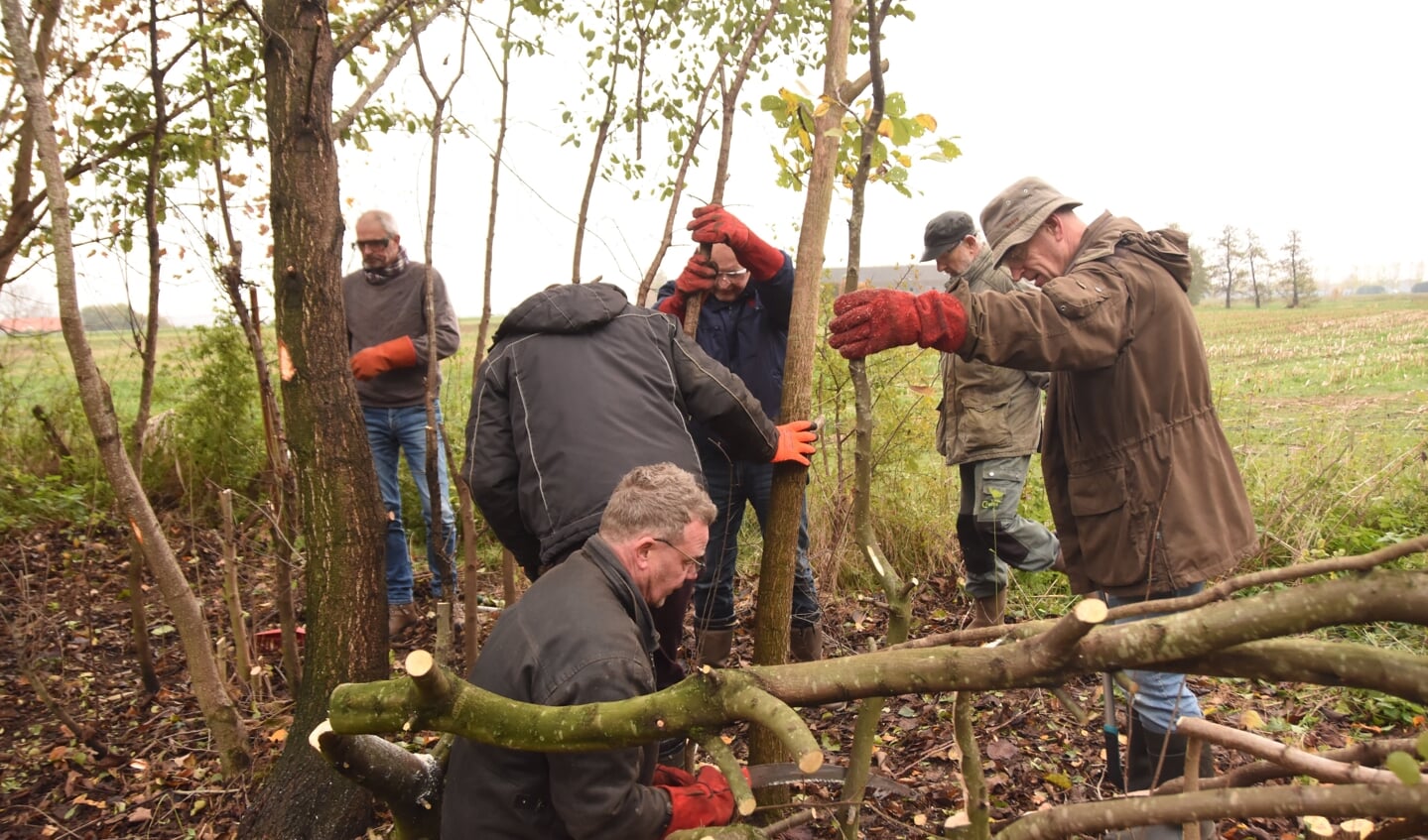 Vrijwilligers van Roois Landschap aan de slag bij de Oostelijke Randweg