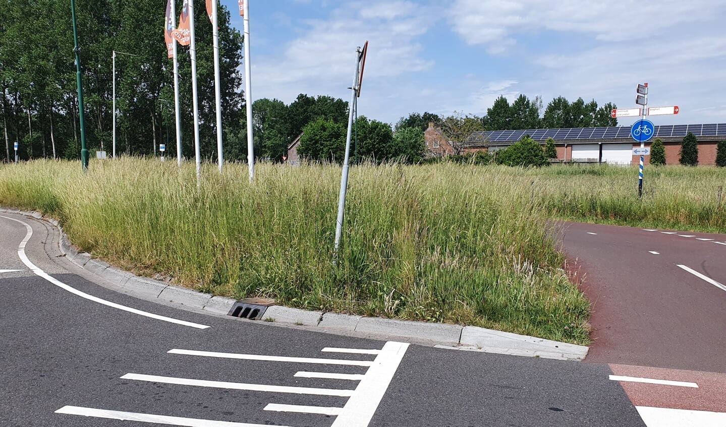 Zo is goed te zien hoe hoog het gras is.