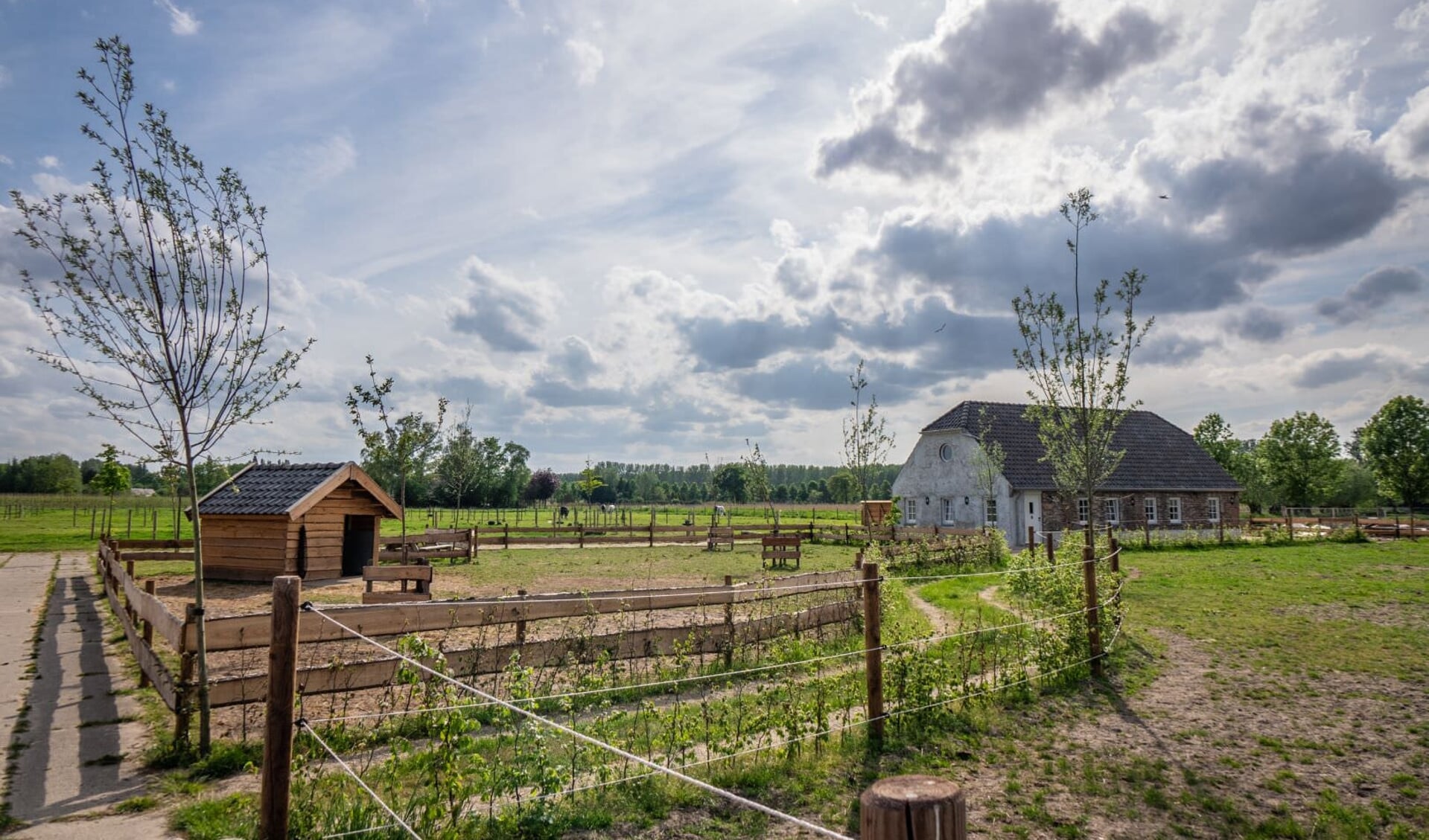 B&B Hoeve Klein Haneveld Opent De Deuren - De MooiRooiKrant