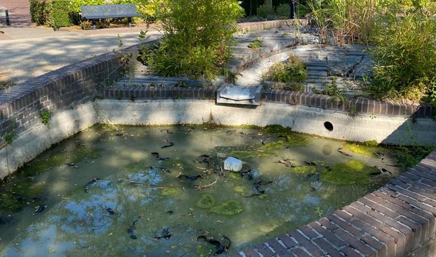 Het is een vieze boel in en rondom deze fontein.