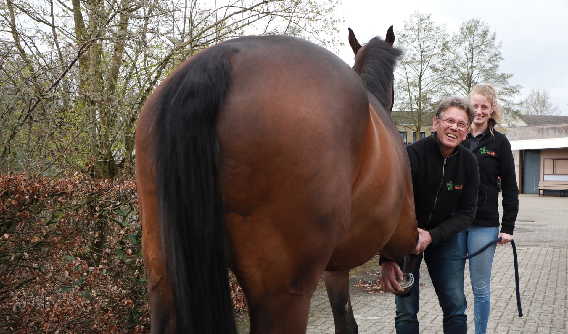 Maarten Aarts behandelt met veel liefde de paarden