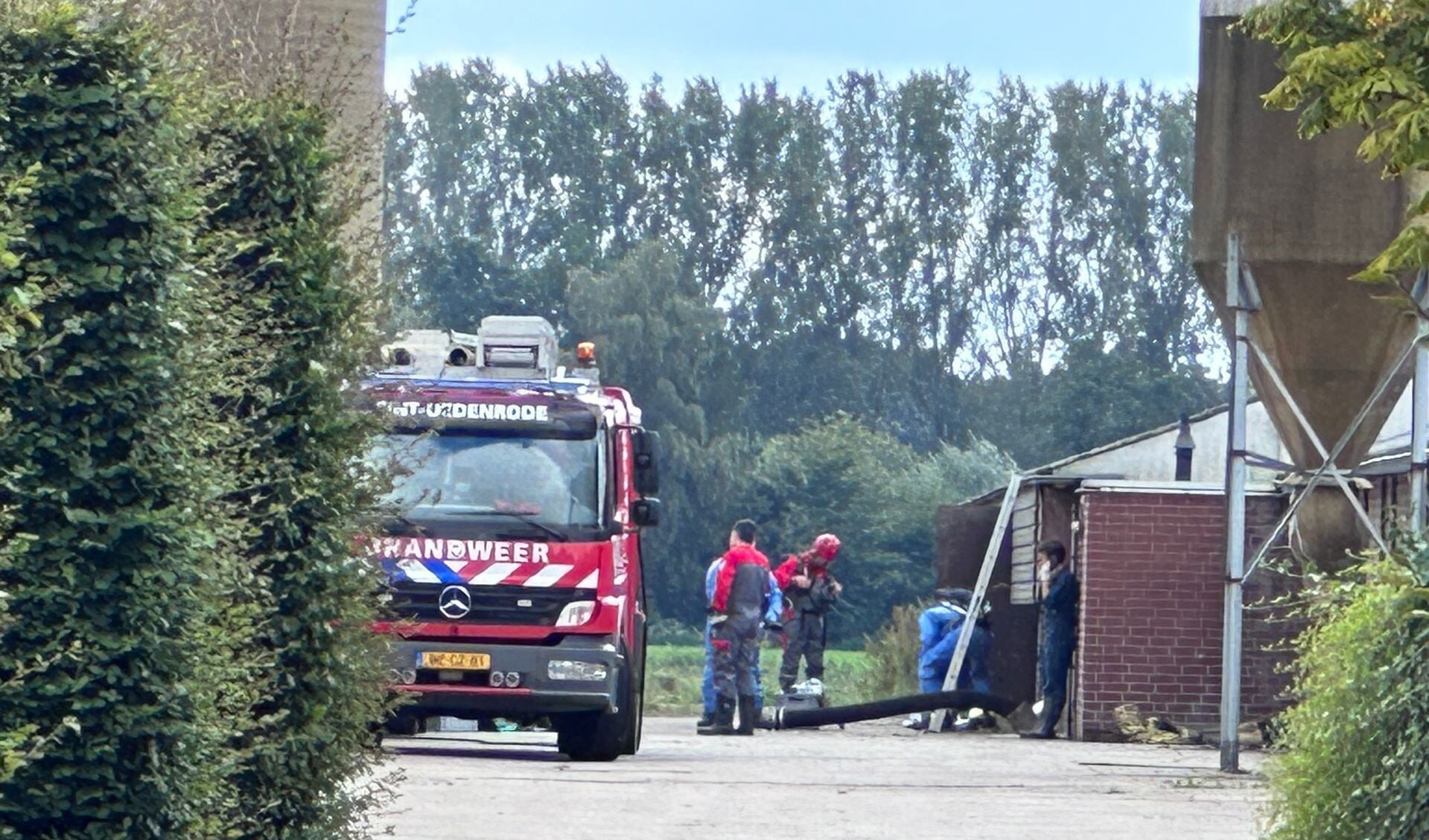 De brandweer kwam de dieren helpen.