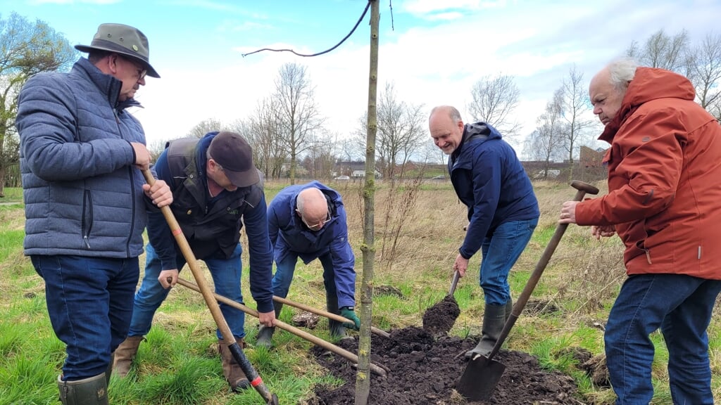 De eerste boom wordt geplant. Foto: Connie Smits