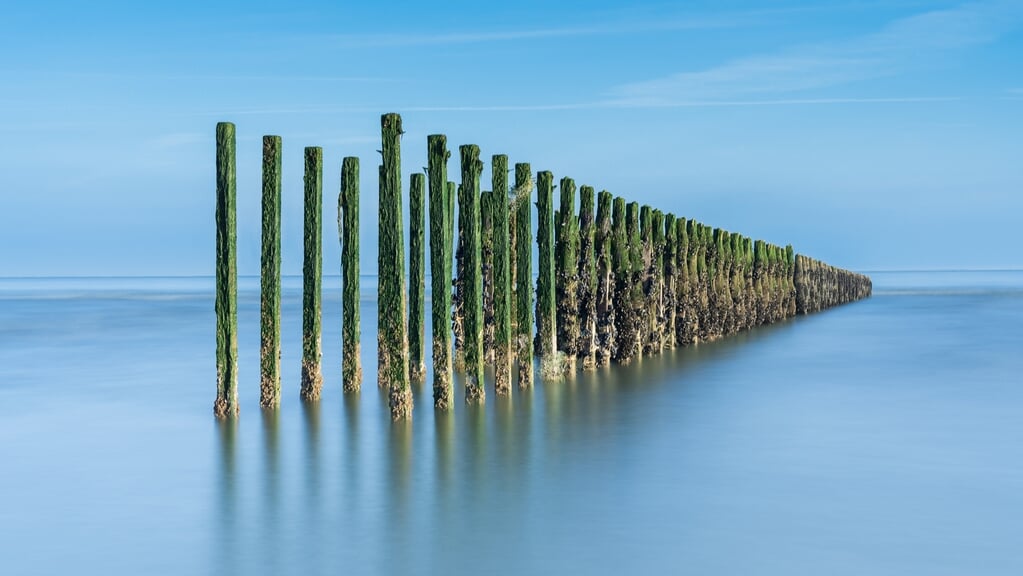 Foto van de maand april.