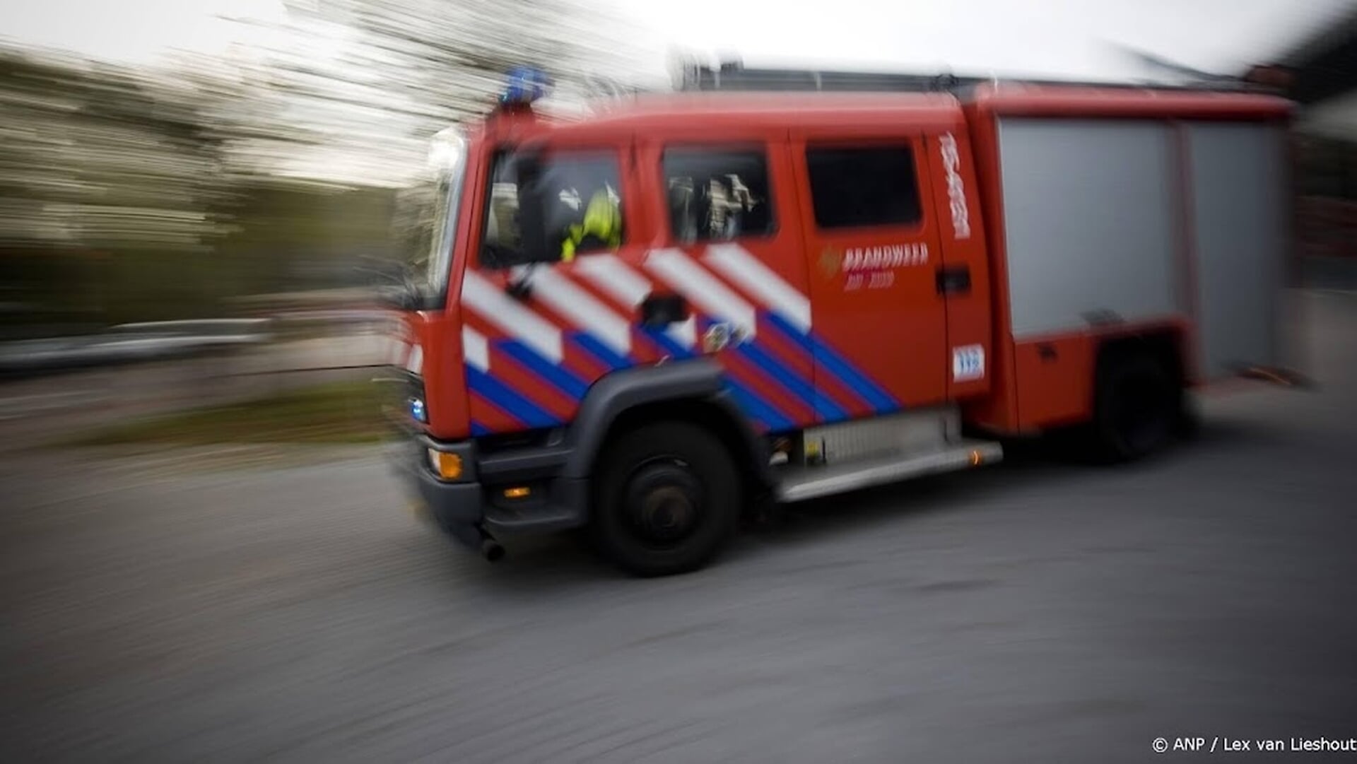Afbeelding