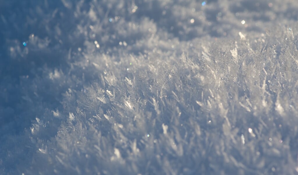 frost formed on snow create a mini forest of snow chrystals to stand up along the drifts or hummocks (beeld Heather M Clark)