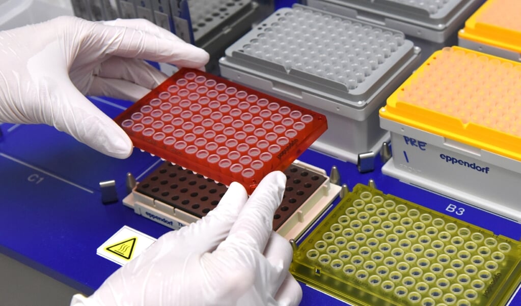 Bij de analyses wordt het DNA in kleine stukjes afgelezen, waarna al die fragmenten als een enorme legpuzzel worden samengevoegd. ( beeld UTSW)