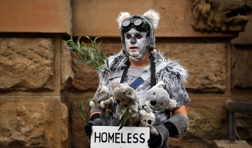 Een demonstrant die deelneemt aan een klimaatactie in het Australische Sydney heeft zich verkleed als 'dakloze koala' om aan te kaarten dat het leefgebied van dieren verdwijnt door de bosbranden die Australië teisteren. ( beeld AFP)