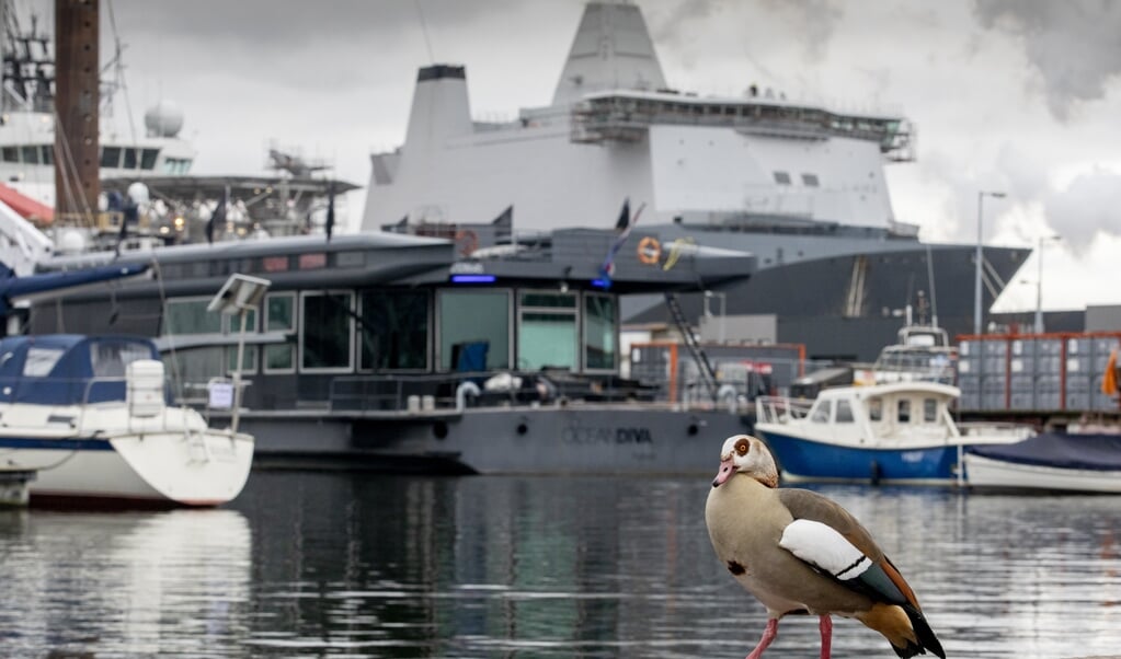 Damen, Nederlands grootste scheepsbouwer, gaat vier oorlogsschepen bouwen voor de Duitse marine. (beeld NIELS WENSTEDT)