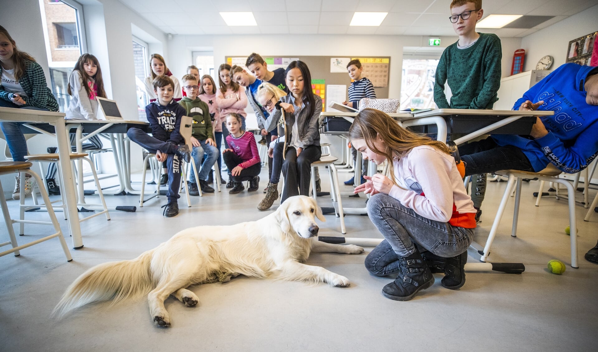 Hond Mads in groep 7 en 8 van basisschool Het Christal in Leusden.