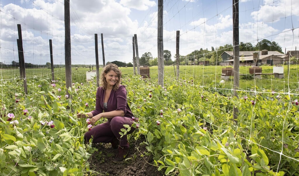 Laura de Grave: ‘Kasgroente en -fruit kun je het beste kopen in perioden dat de kassen niet hoeven te worden verwarmd.' (beeld nd)