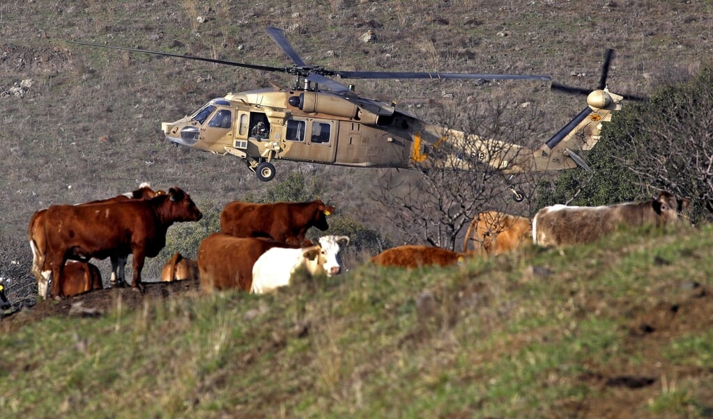 Een Israëlische Blackhawk-helikopter met aan boord VS-minister Mike Pompeo landt op de Golan-hoogvlakte. (beeld afp / Jalaa Marey)