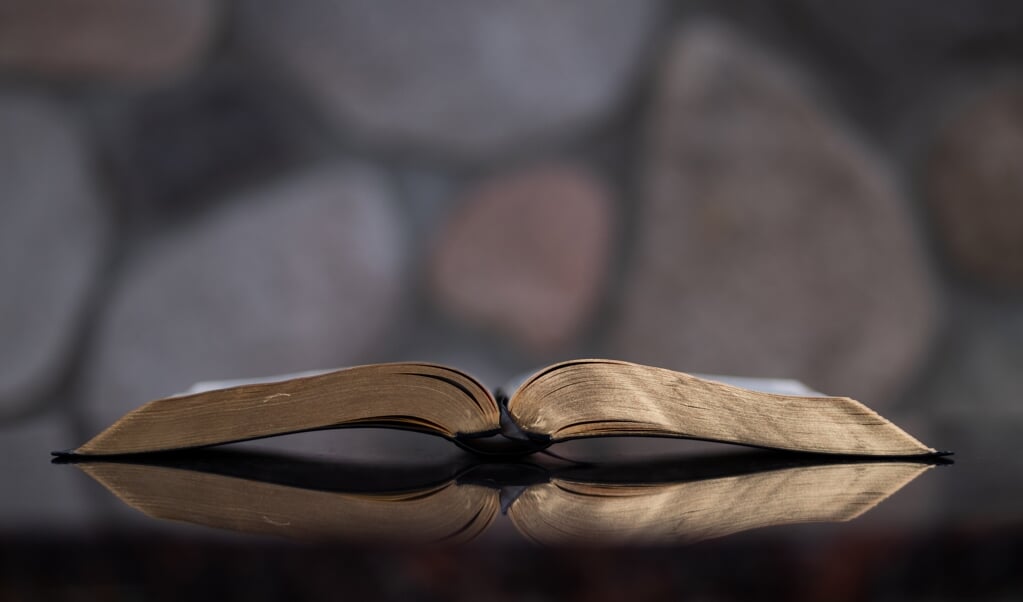 Voorzitter Laurens van der Tang: 'De Bijbel is een ontzettend rijke bron voor het goede leven.'  (beeld Aaron Burden)