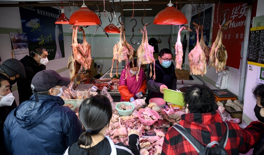 Mensen winkelen met beschermende gezichtsmaskers bij een kippenkraam op een 'natte markt' in Shanghai. Op zo'n natte markt worden kippen geslacht, wat het risico op blootstelling aan bacteriën en virussen zoals COVID-19 vergroot. (beeld afp / Noel Celis)