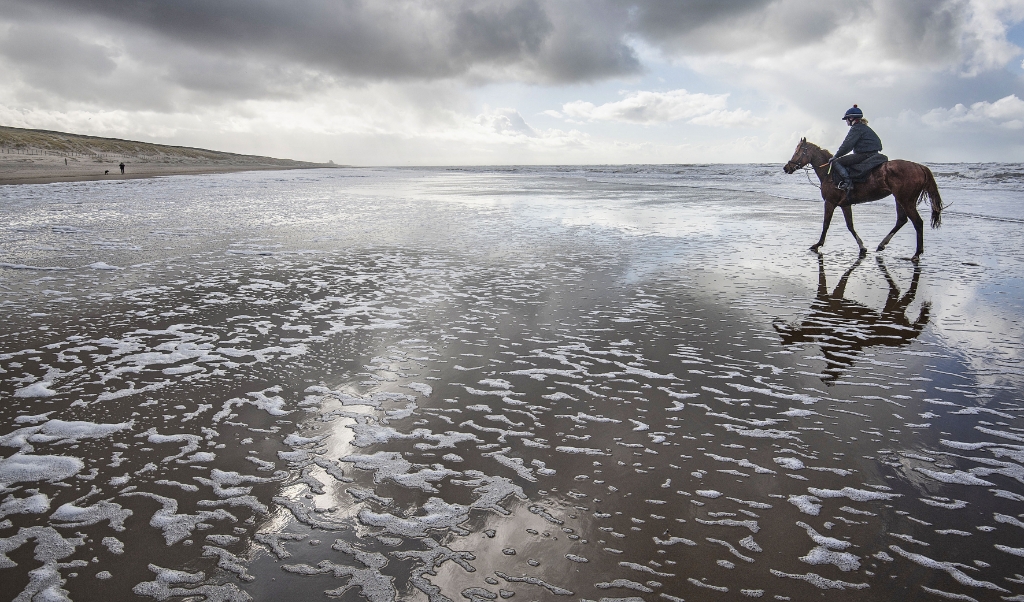 Een ruiter traint haar renpaard op het strand tussen Noordwijk en Zandvoort, waarover in mei Mercedes, RedBull en AlphaTauri zullen rijden. (beeld Guus Dubbelman)