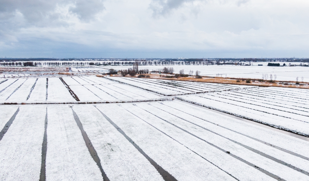 2020-02-26 07:41:27 MAASDAM - een dronefoto van akkers in de sneeuw. In het westen, midden en zuiden ontstond volgens Weeronline op sommige plekken een sneeuwdek van een paar centimeter. ANP JEFFREY GROENEWEG (beeld anp / Jeffrey Groeneweg)