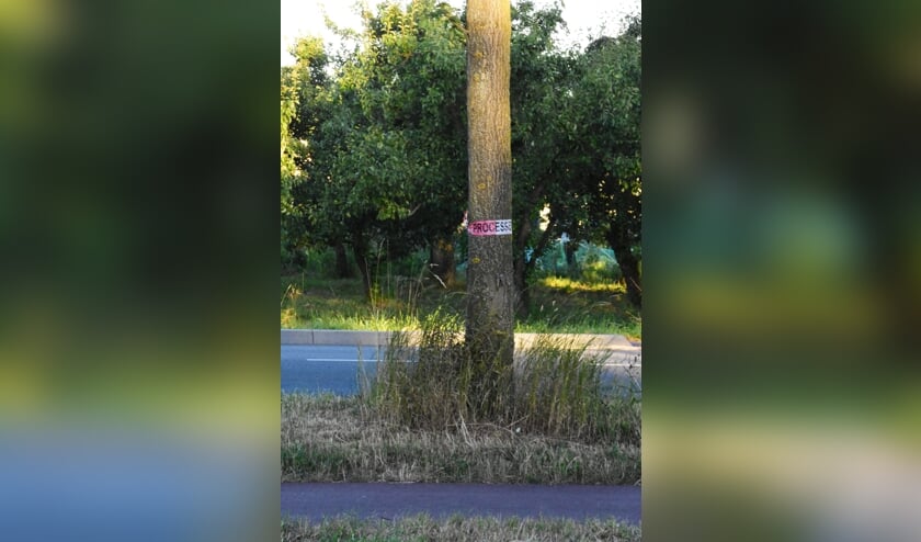 Deze linten zullen de komende tijd weer vaker te zien zijn.