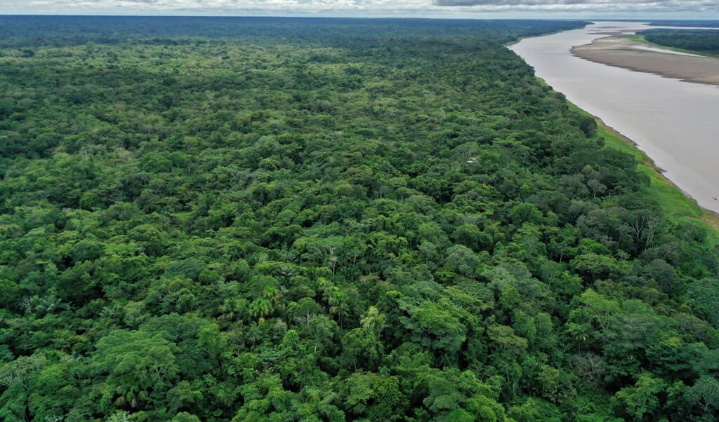 2020-11-20 10:37:43 Aerial view of the Amazonas river near Leticia, Amazona sdepartment, Colombia on November 20, 2020.
Located on the banks of the Amazon river, an hour away by boat from Leticia, the capital of the Colombian department of Amazonas, the indigenous settlement of Nazareth of 1,035 inhabitants is one, if not the only, to accept homosexuals.
Raul ARBOLEDA / AFP (beeld Raul Arboleda / afp)