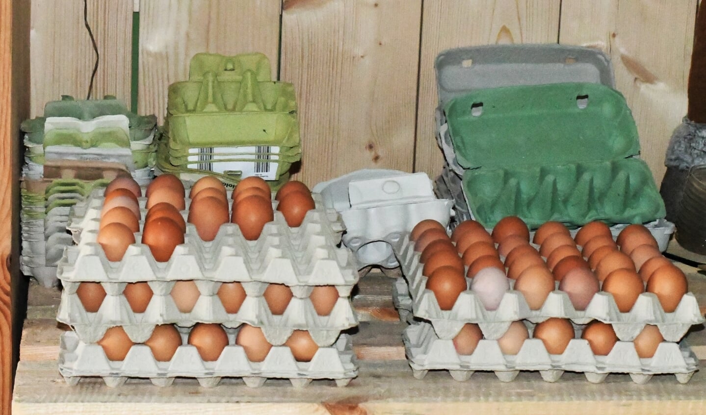 De eieren die in de winkel worden verkocht, komen van collega's uit de buurt, net als groenten, fruit en vlees.