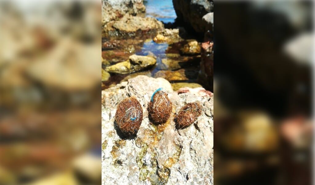 Neptunusballen op het strand van Majorca.  (beeld Marta Veny)