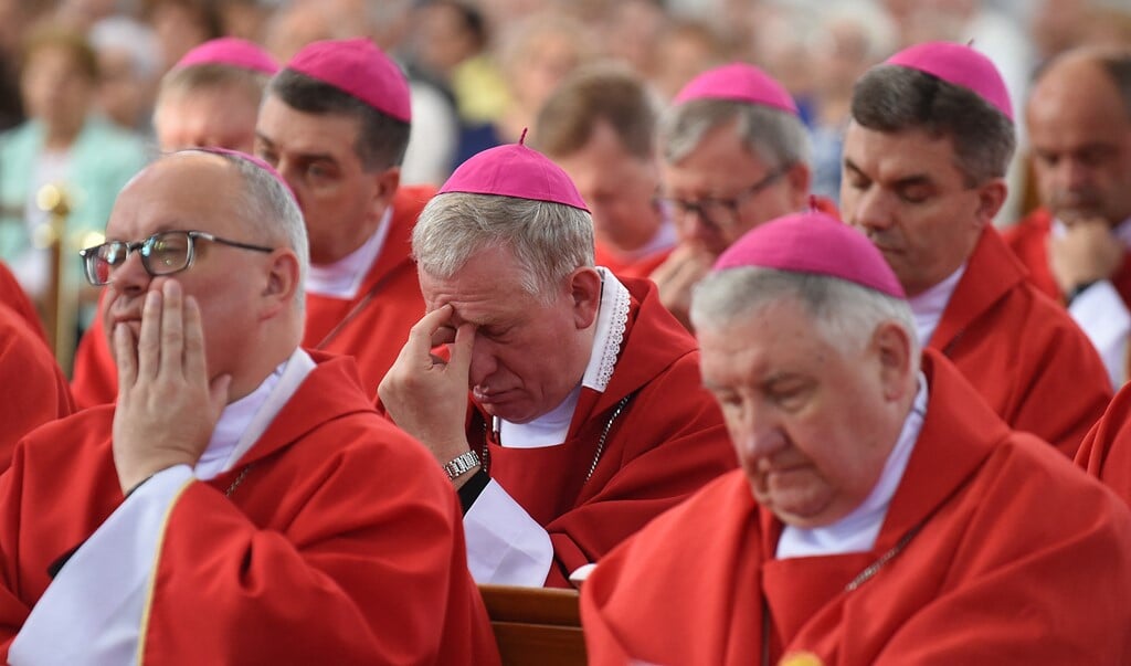 Poolse bisschoppen tijdens een door het Vaticaan georganiseerde ontmoeting over de omgang met seksueel misbruik door katholieke geestelijken. (beeld afp / Janek Skarzynski)