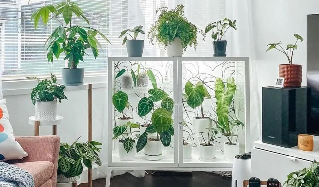 Een groep creatievelingen trekt online de aandacht met het slim ombouwen van Ikea-kasten tot vitrine.  (beeld instagram)