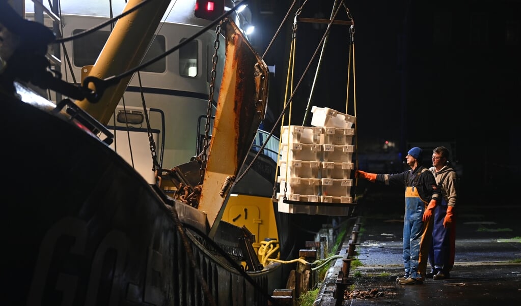 Vissersboten lossen in de haven van IJmuiden, oktober 2020. De visserij staat als bedrijfstak onder druk. 'Er zijn gelukkig positieve ontwikkelingen vanuit de sector te zien. Zo wordt op dit moment gewerkt aan een opvolger van de puls.'  (beeld anp / Olaf Kraak)