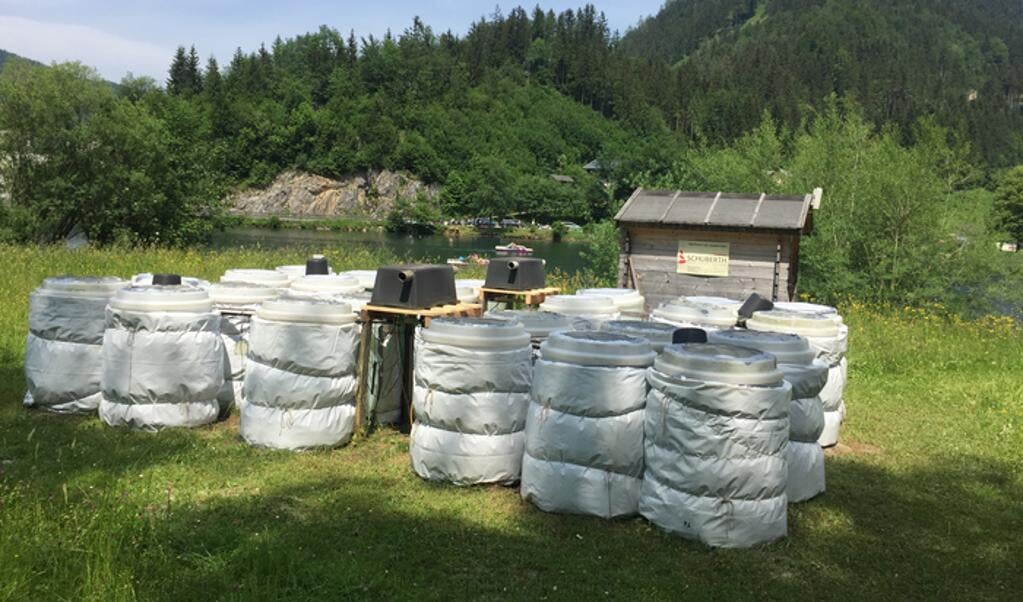 In containers werden vier condities getest, met verschillende combinaties van temperatuur en hoeveelheid organische stof. (beeld Pianpian Wu)