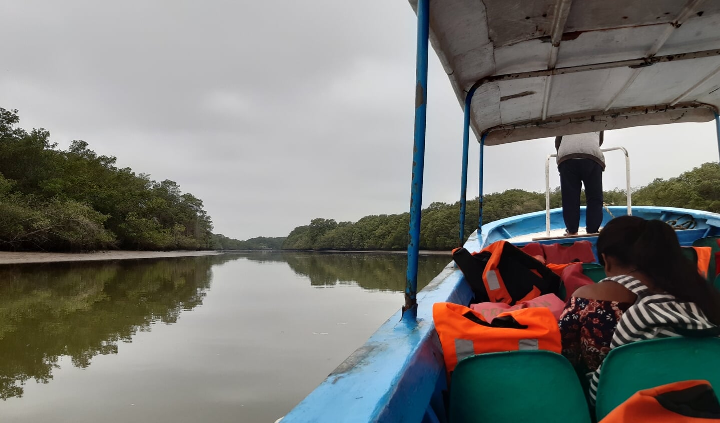 Een deel van de kustlijn van Jambelí bestaat uit mangrovebossen.