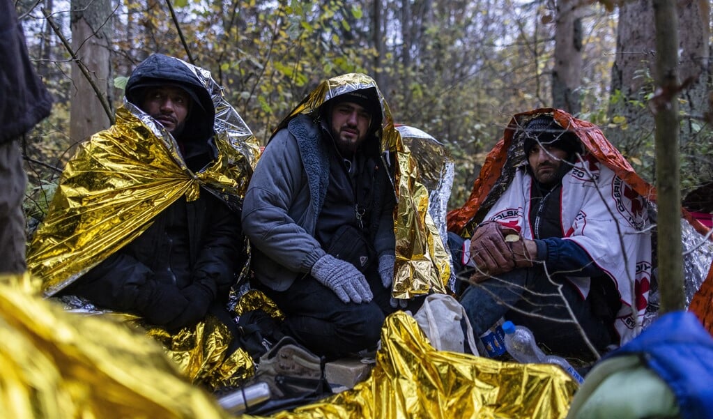 Syrische vluchtelingen in de bossen op de grens tussen Polen en Belarus. Duizenden migranten proberen vanuit Belarus de Europese Unie te bereiken. De regering van Belarus stuurt deze vluchtelingen volgens de EU bewust de grens over als protest tegen EU-sancties tegen het regime.   (beeld afp / Wojtek Radwanski)