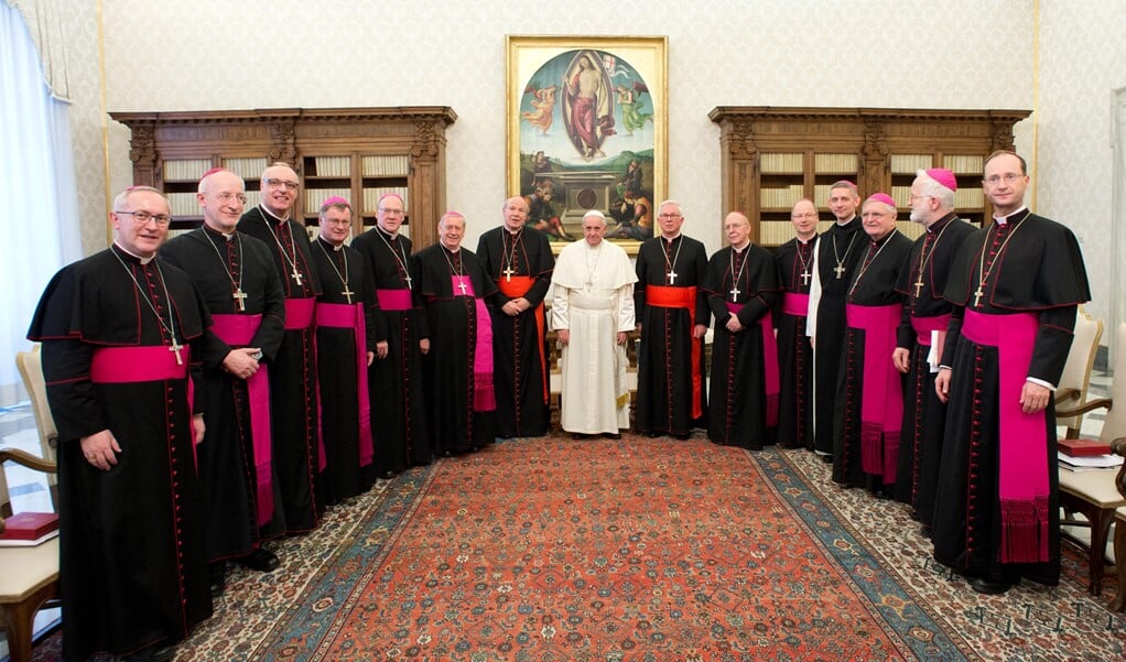De Oostenrijkse bisschoppenconferentie tijdens een buitengewone privé-audiëntie met paus Franciscus in 2018.   (beeld afp / Osservatore Romano)