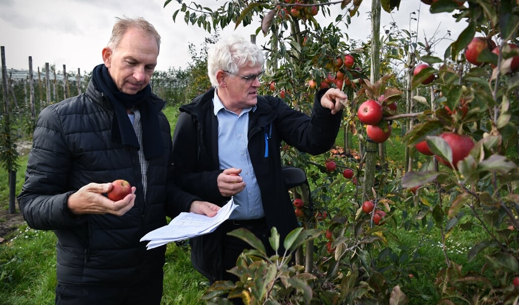 In de boomgaard van Proeftuin Randwijk: Willem van Dooijeweert (links) en Marcel Rutten. (beeld Marcel van den Bergh)