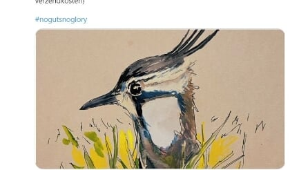 Vogels tekenen en ze via Twitter voor het goede doel | Nederlands Dagblad