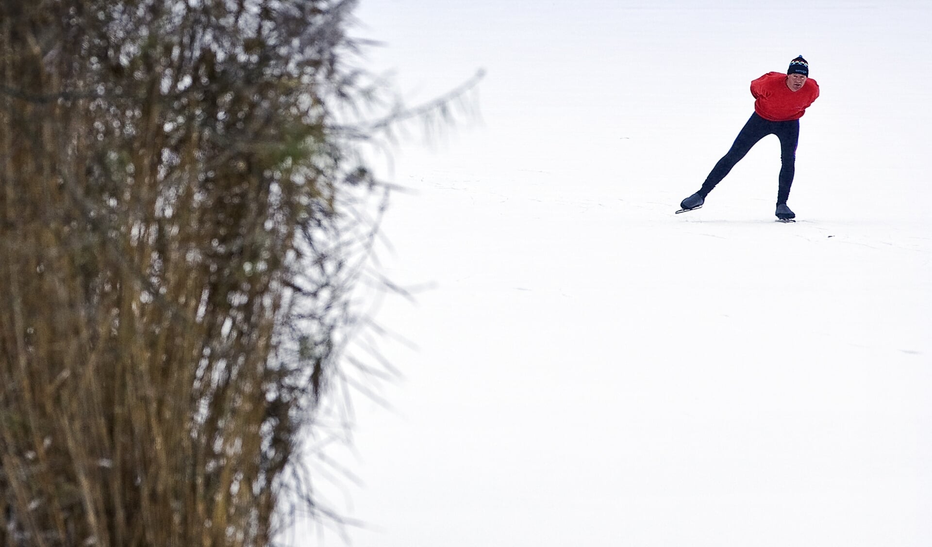 Een eenzame schaatser op de Oostvaardersplassen in december van vorig jaar.