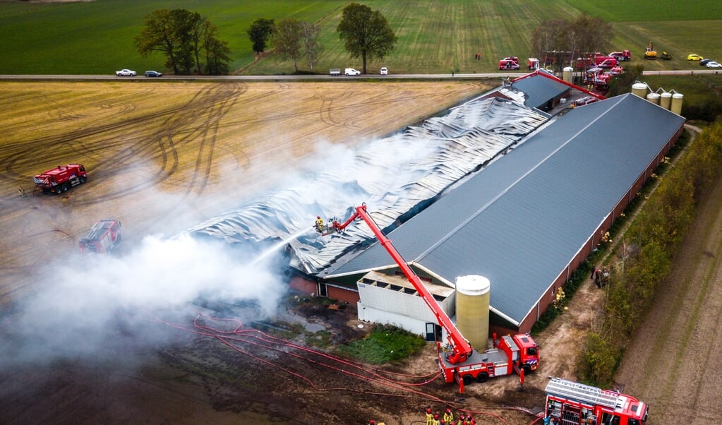 Bij deze stalbrand in het Brabantse Heusden kwamen in 2018 4000 varkens om. (beeld anp / Rob Engelaar)