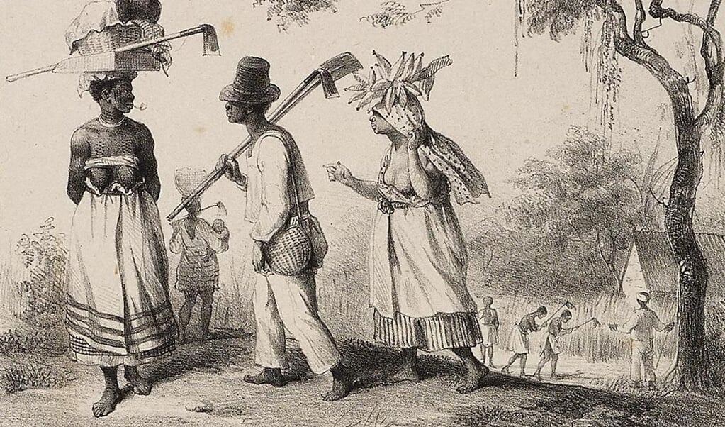 Slaven in Suriname op weg naar het veld om te gaan werken. Tekening van P.J. Benoît, 1839.  (beeld P.J. Benoît)