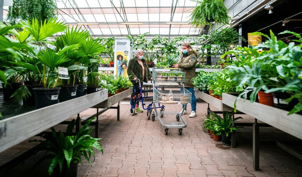 Van planten en potgrond uit drie grote tuincentra werden monsters genomen. (beeld hollandse hoogte / anp)