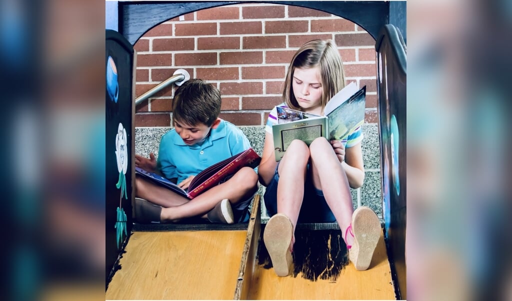 'Lezen en zingen, ze kunnen je de dag en het leven door helpen', schrijft literatuurrecensent Tewin van den Bergh. (beeld unsplash / Adam Winger)