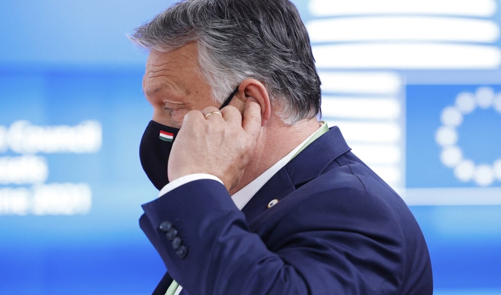 De kans is klein dat Orbán het advies van Rutte opvolgt en vrijwillig vertrekt.  (beeld afp / Olivier Matthys)
