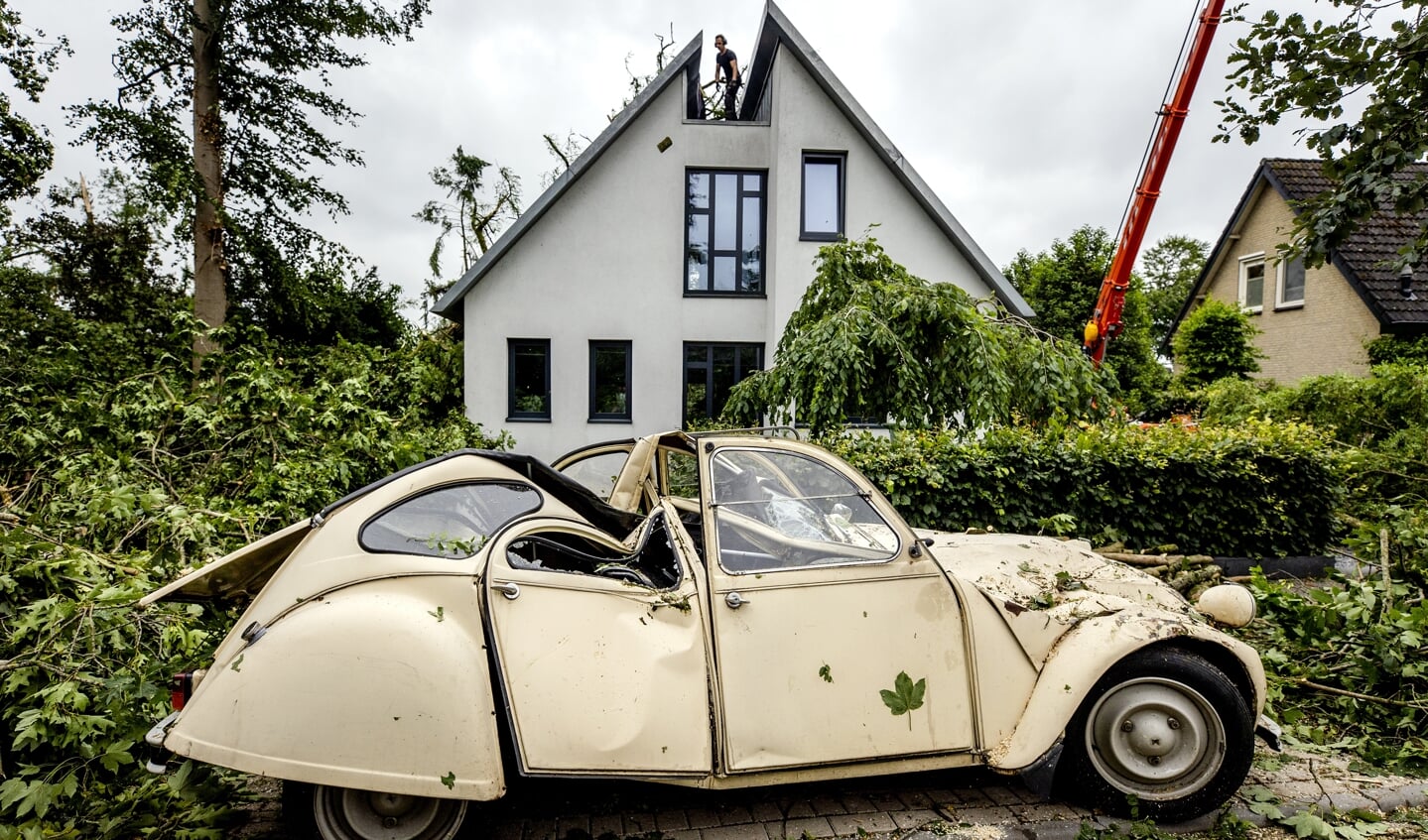 Een Eend raakte beschadigd door een omgevallen boom in Leersum.