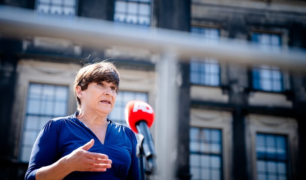 Fractieleider Lilianne Ploumen (PvdA) staat de pers te woord na een gesprek met informateur Mariette Hamer (beeld anp / Bart Maat)