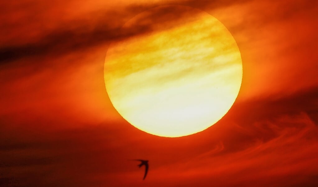 Van den Brink verdedigt in het hoofdstuk over de zon die bleef stilstaan bij Gibeon uitvoerig het geloof in wonderen. (beeld afp / David Gannon )